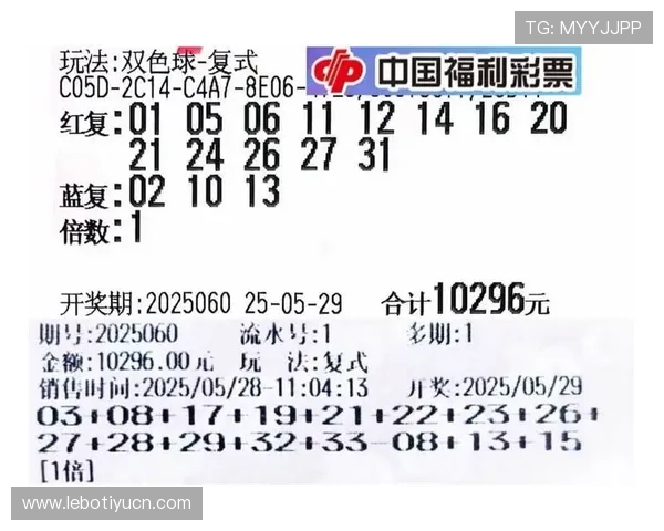 现金买球站：多平台对比分析助你找到最适合自己的投注网站